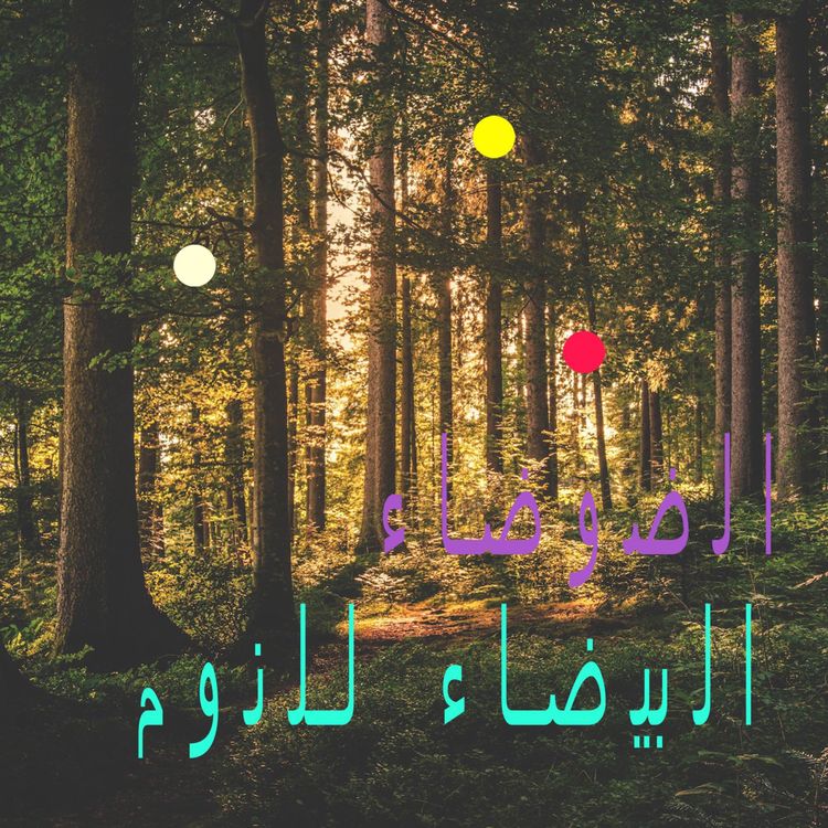 cover art for الاستحمام في الغابة | أصوات الماء الجاري، الأوراق والطيور
