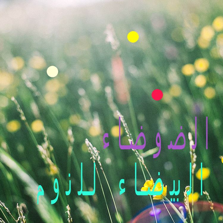 cover art for يوم صيفي عاصف مع همس الأوراق وغناء الطيور