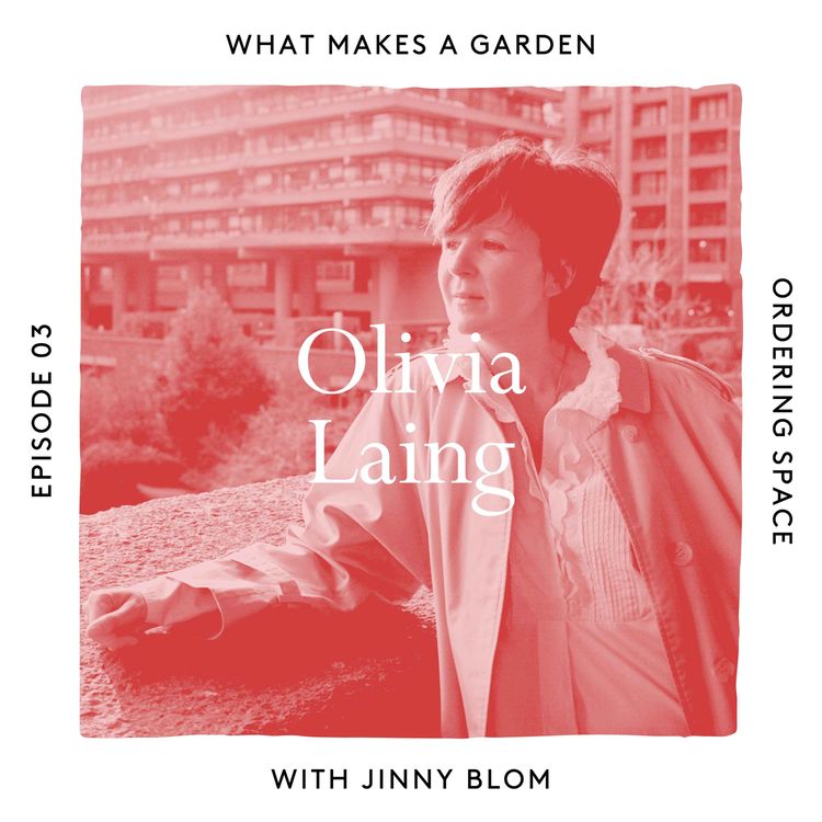 cover art for Order and chaos