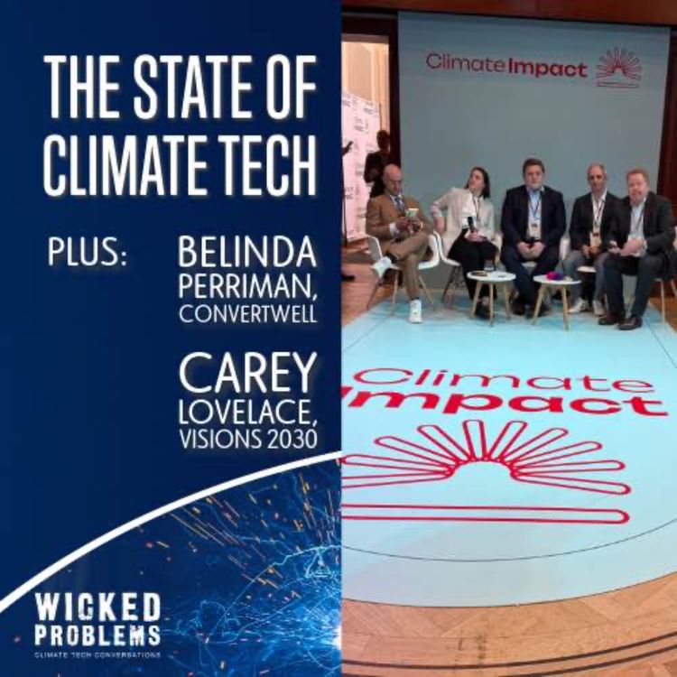 cover art for State of Climate Tech 2025: Is it over?