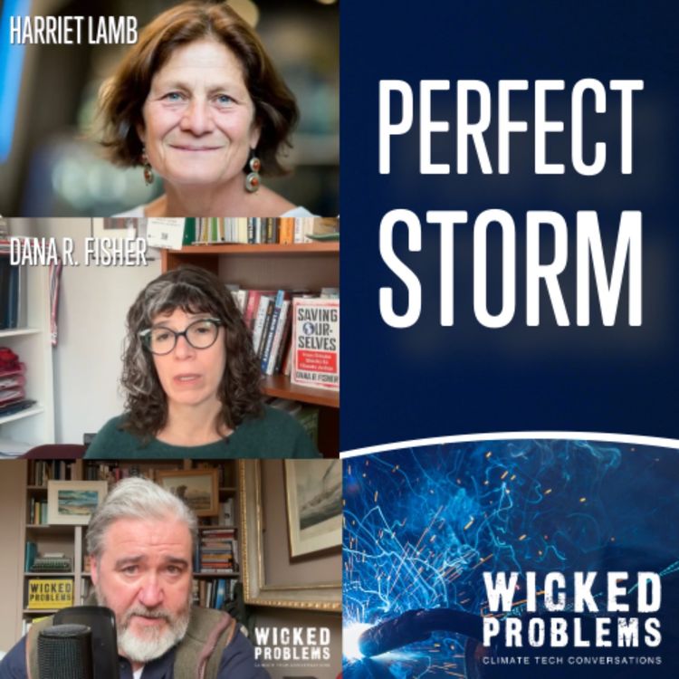 cover art for A Perfect Storm: Dana R. Fisher & Green Party CEO Harriet Lamb