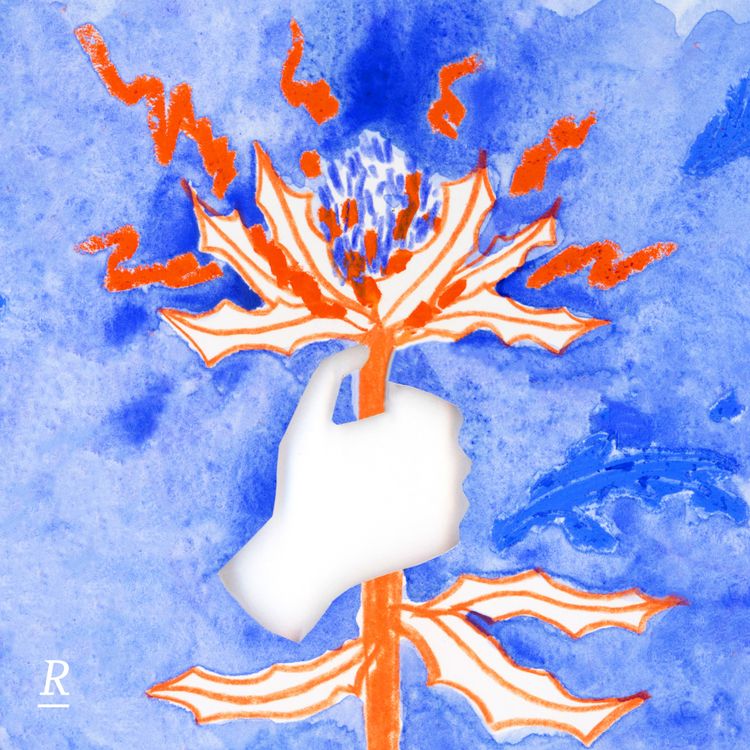 cover art for 2 - Furie