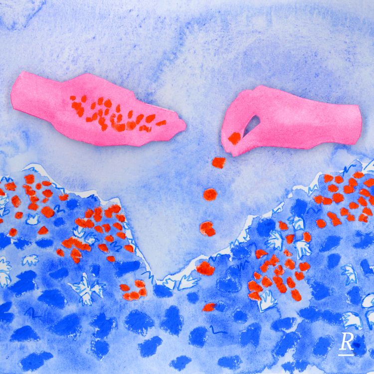 cover art for 5 - Courage