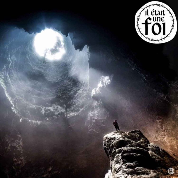 cover art for Dans le chaos : naître