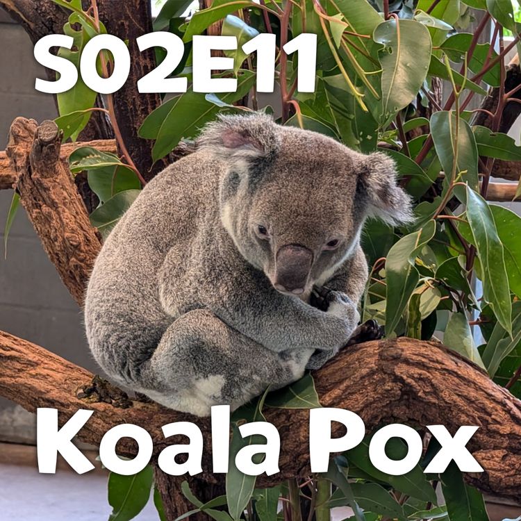 cover art for Pixels and Puppets S02E011: Koala Pox