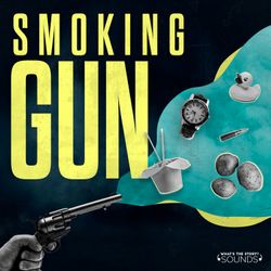 cover art for Smoking Gun