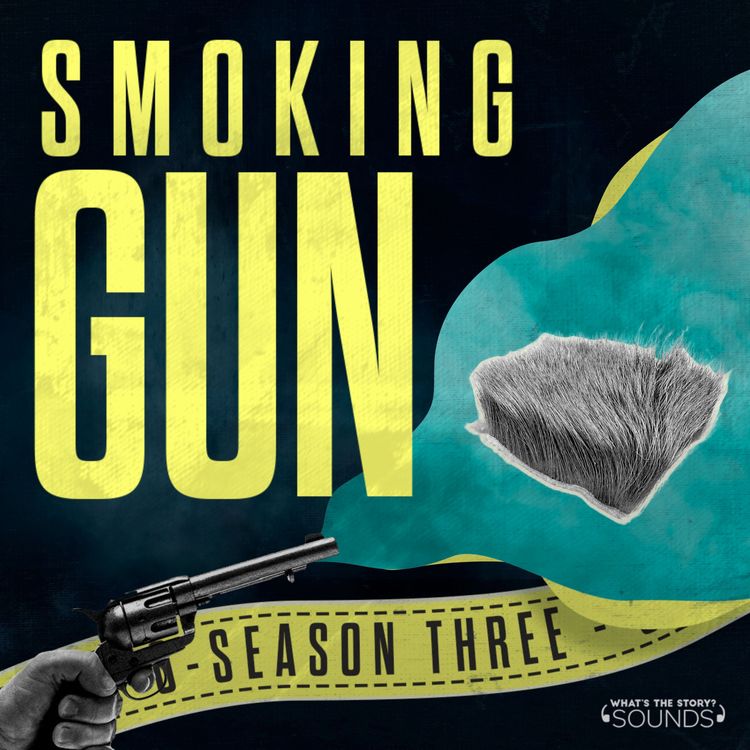 cover art for The Elk Hair