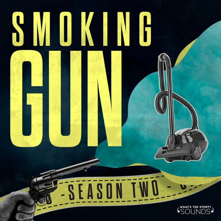 cover art for The Vacuum