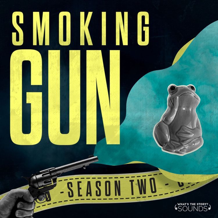 cover art for The Ornamental Frog