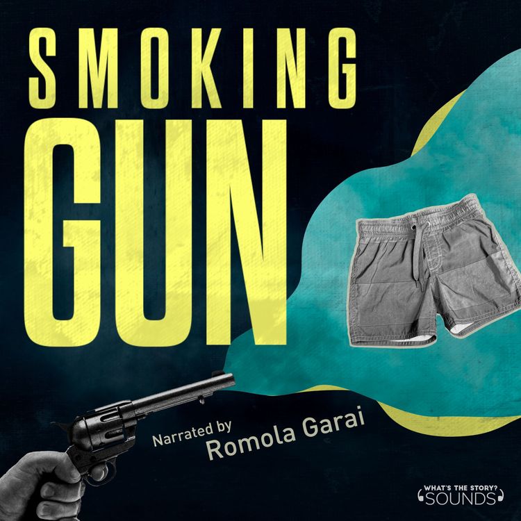 cover art for The Bathing Shorts