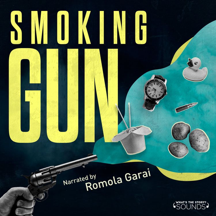 cover art for Introducing Smoking Gun