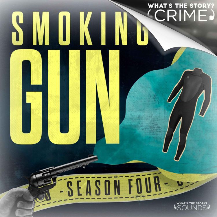 cover art for The Wetsuit