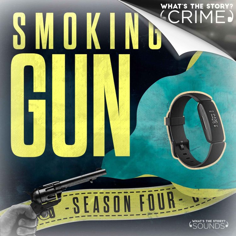 cover art for The Fit Bit