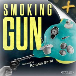 cover art for Smoking Gun - Subscriber
