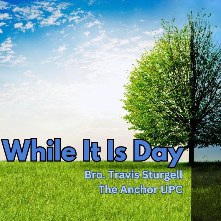 cover art for “While It Is Day” - Bro Travis Sturgell