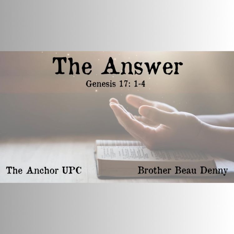 cover art for The Answer - Bro Beau Denny