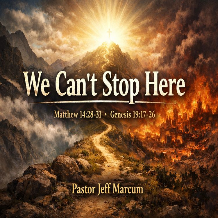 cover art for We Can't Stop Here