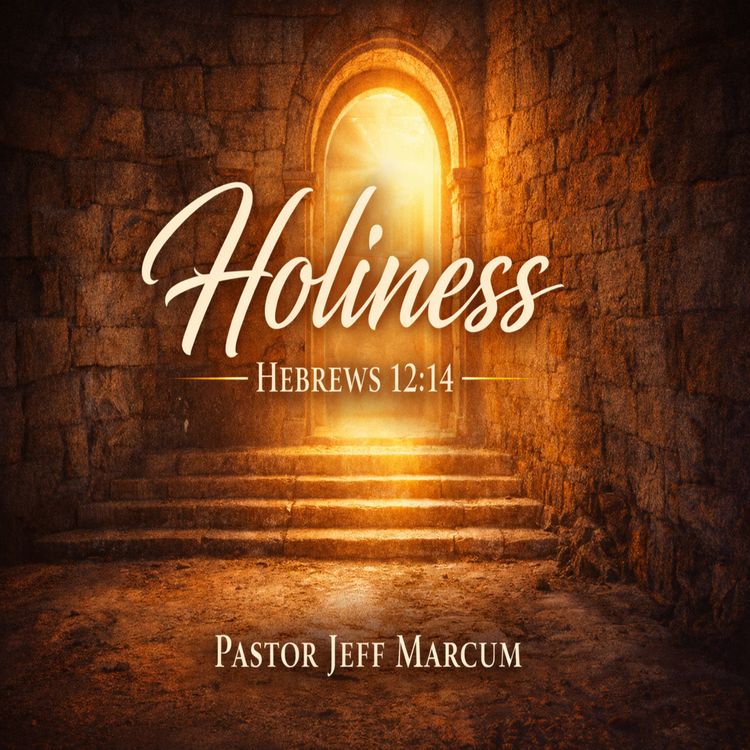 cover art for Holiness