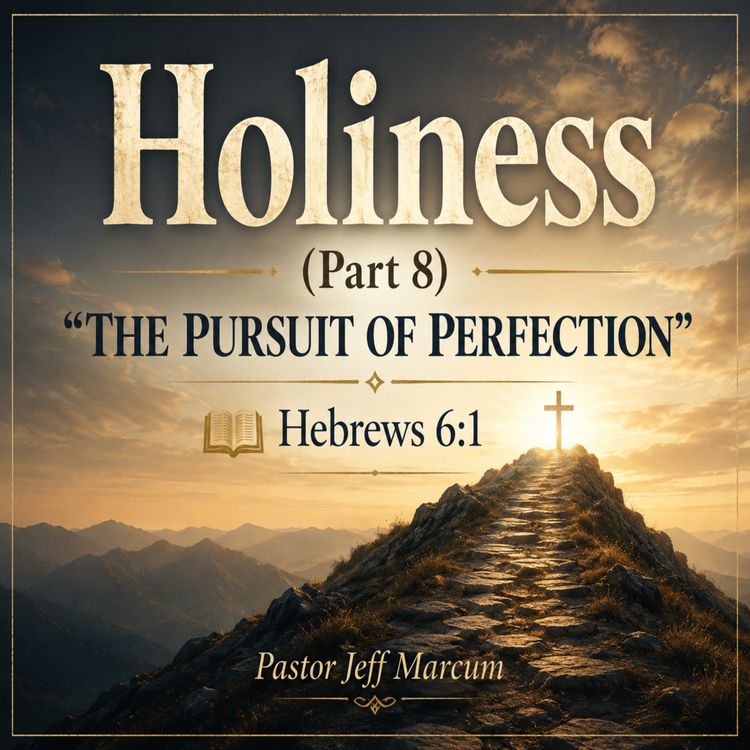 cover art for Holiness Part 8 (The Pursuit of Perfection)