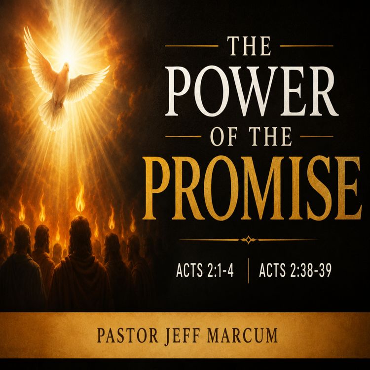 cover art for The Power Of The Promise