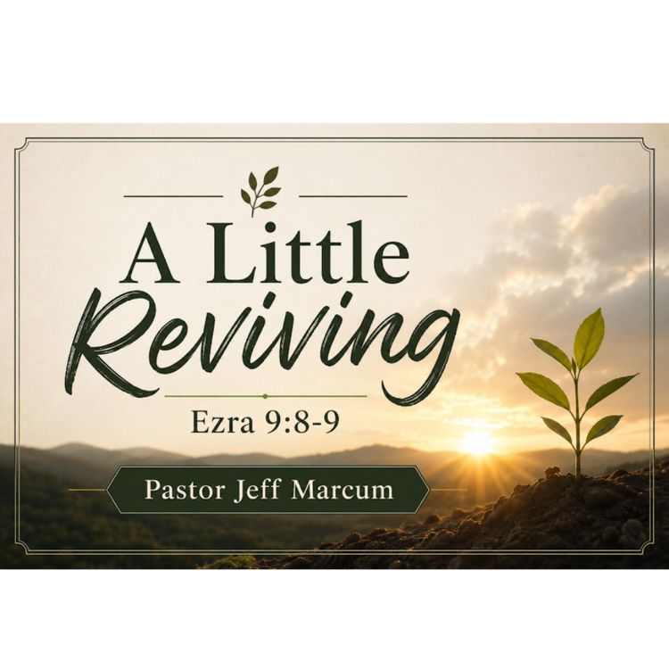 cover art for A Little Reviving