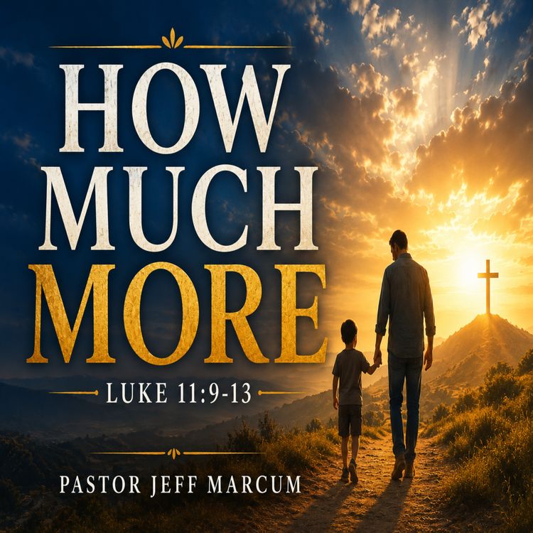 cover art for How Much More