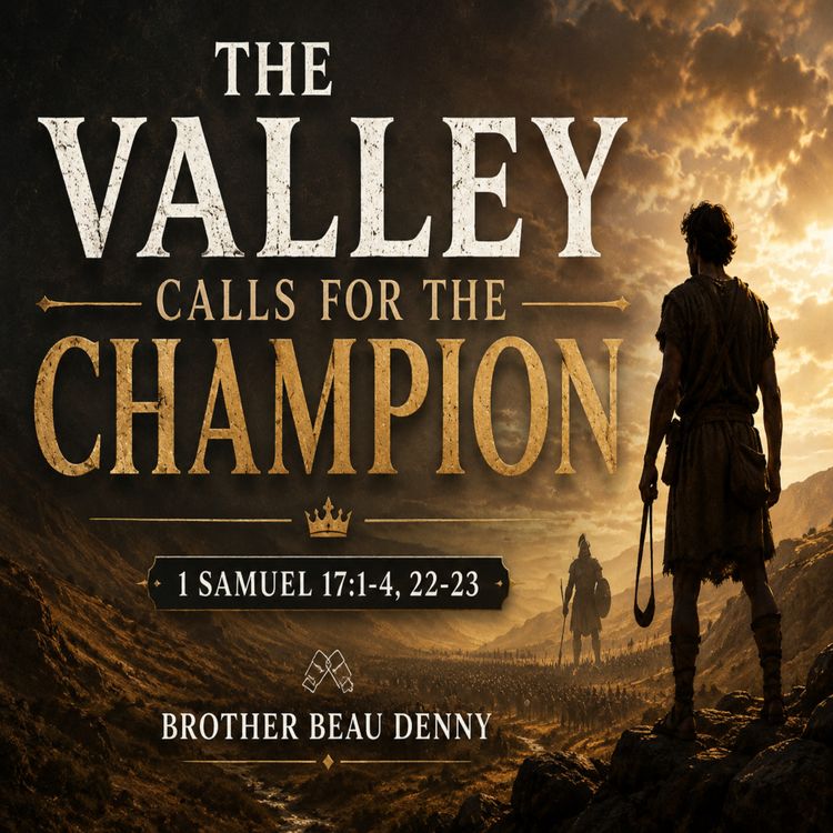 cover art for The Valley Calls For The Champion