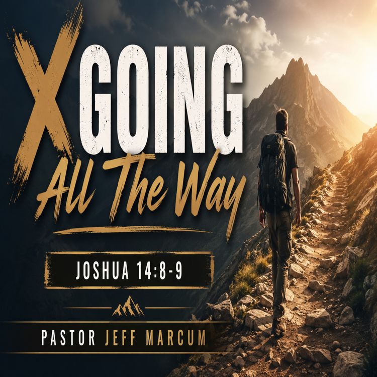 cover art for Going All The Way