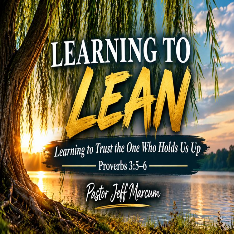 cover art for Learning To Lean