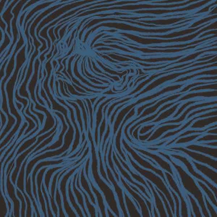 cover art for Inaudible 28/05/25