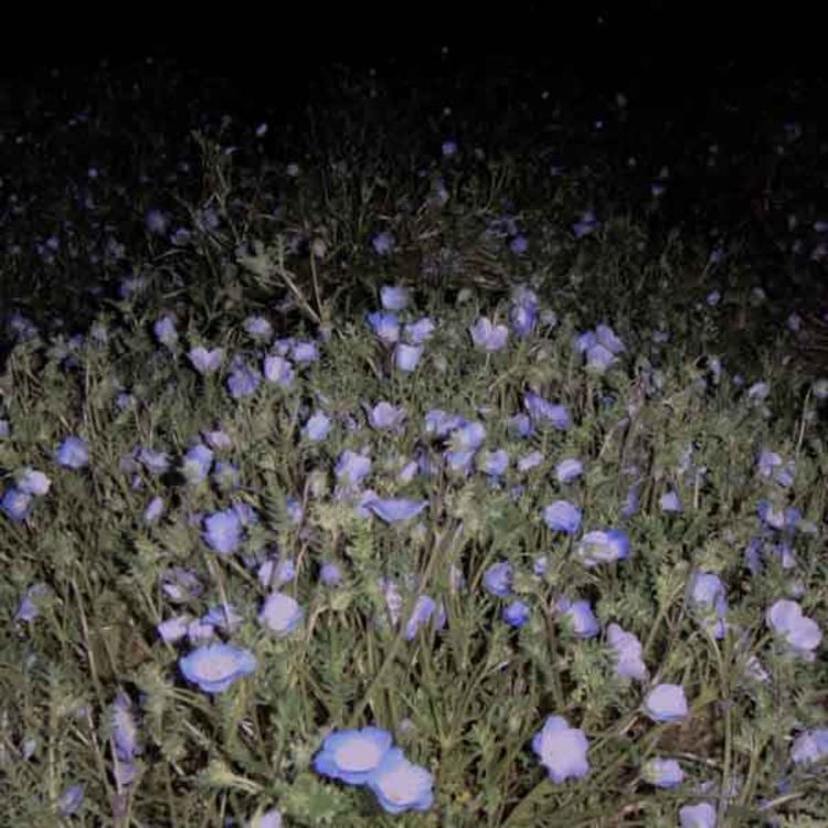 cover art for Inaudible 03/09/25