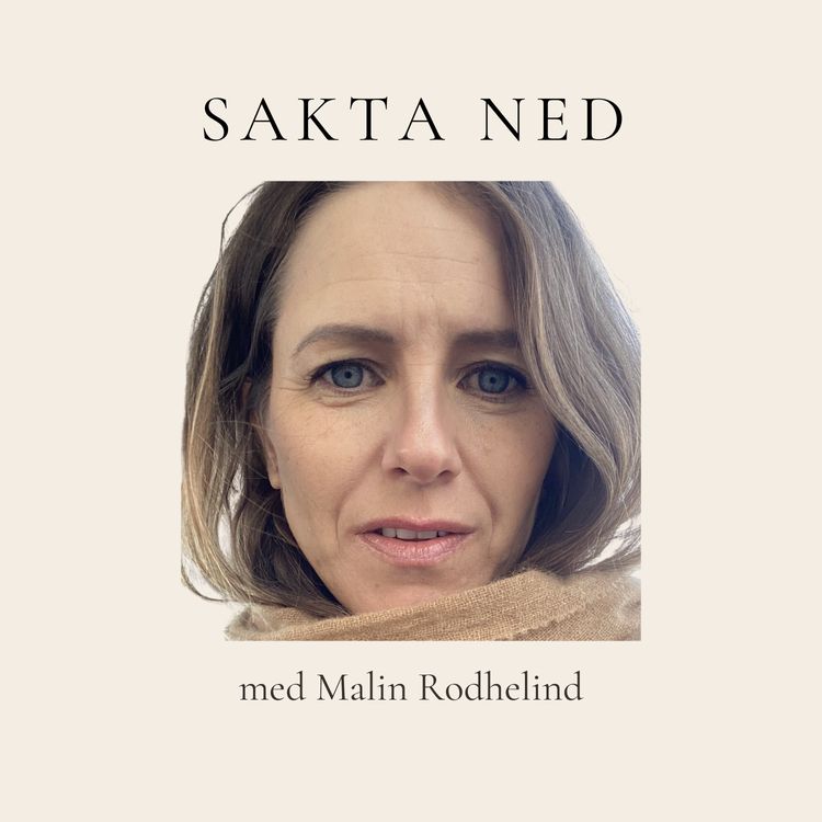 cover art for Sakta Ned - Trailer