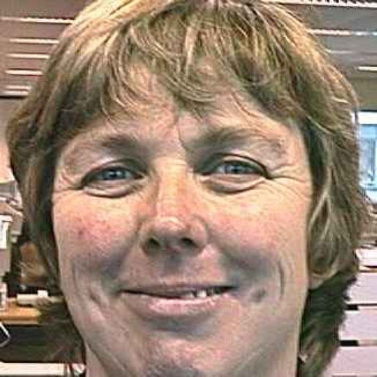 cover art for Scottish elections revisited