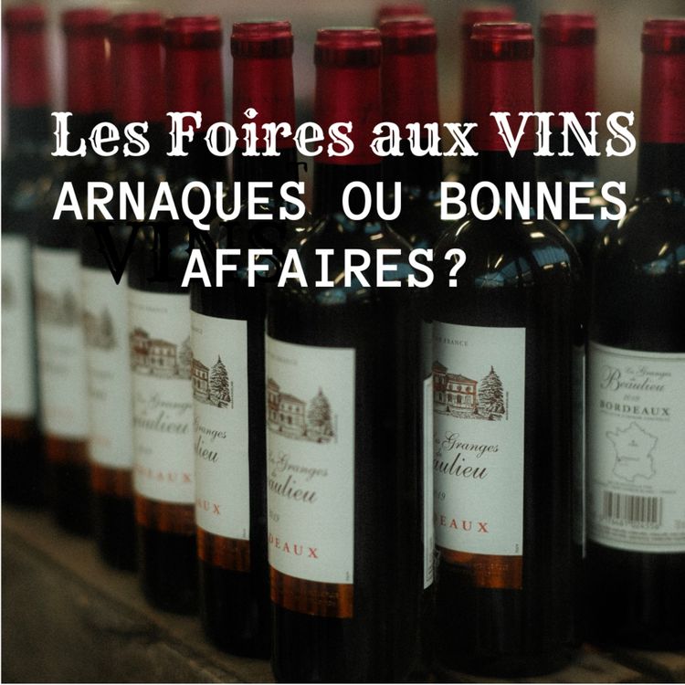 cover art for Foires aux vins - Arnaques ou bonnes affaires ?
