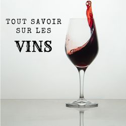 cover art for "Tout savoir sur les vins"