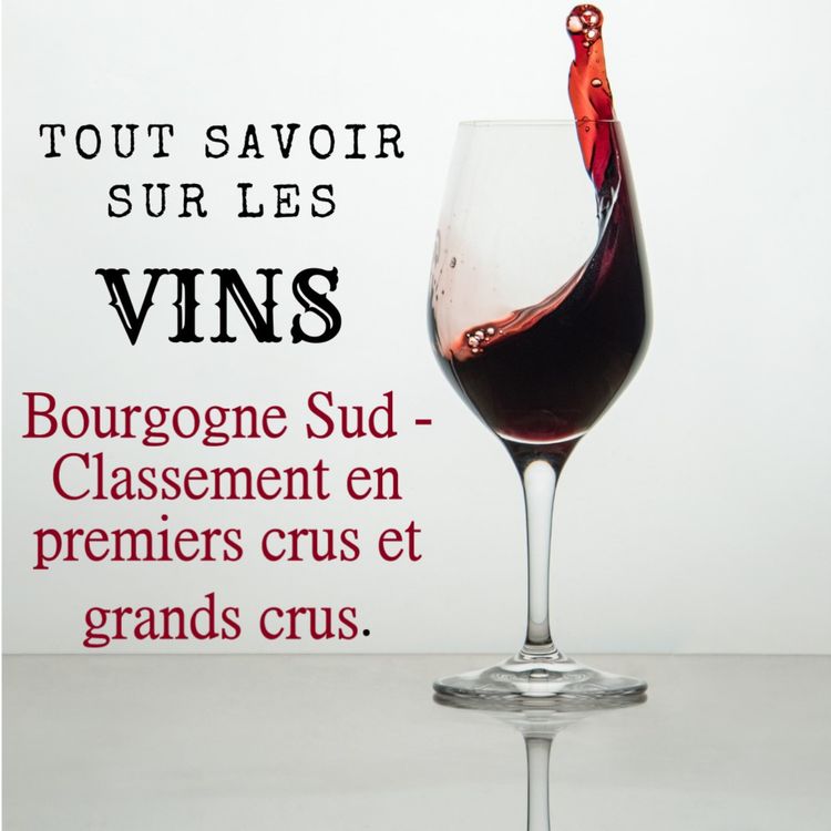 cover art for Bourgogne Sud - Classement premiers crus et grands crus
