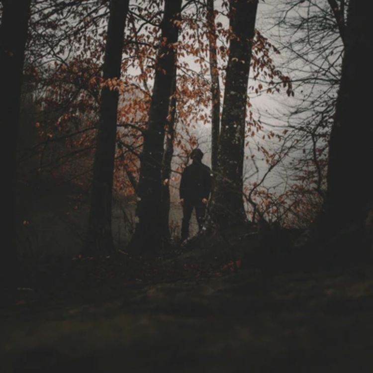 cover art for 10 TRUE CREEPY AIRBNB HORROR STORIES