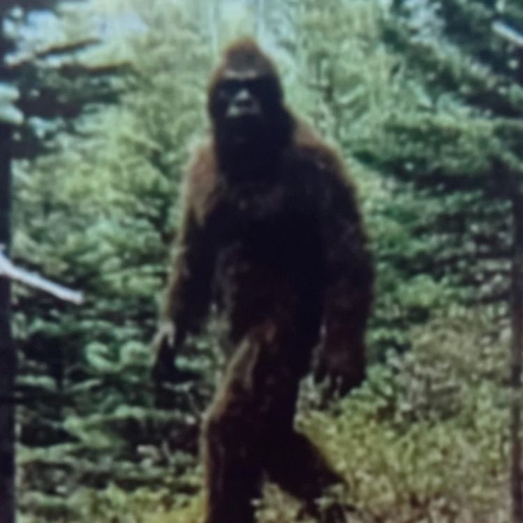 cover art for 4 TRUE CREEPY HOME ALONE HORROR STORIES