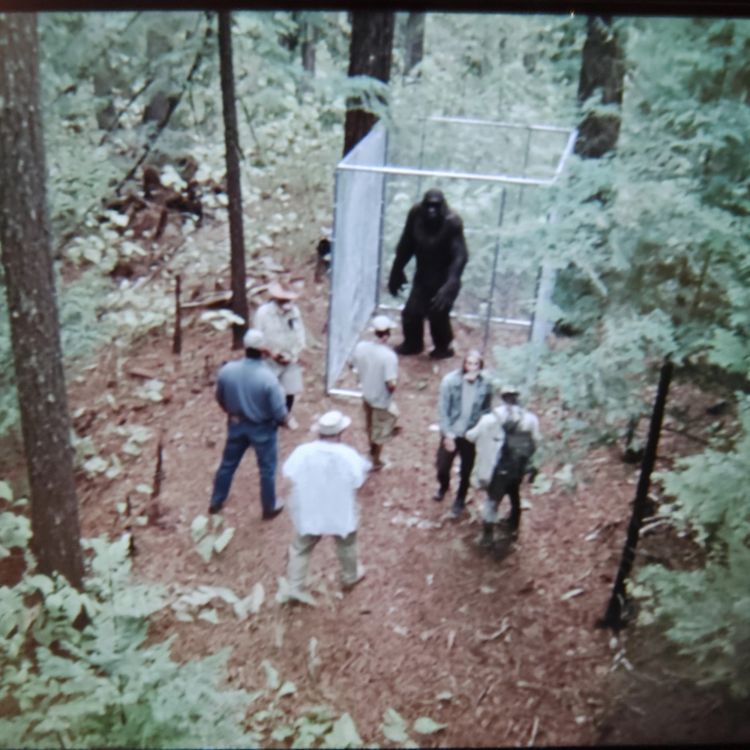 cover art for 4 TRUE CREEPY ALONE AT NIGHT HORROR STORIES