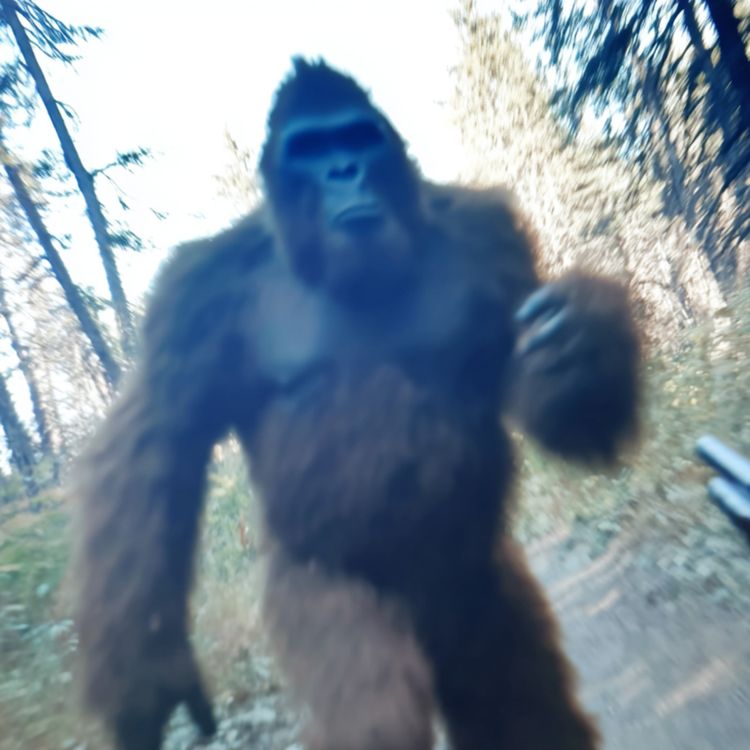 cover art for 3 TRUE CREEPY NEW HOUSE HORROR STORIES