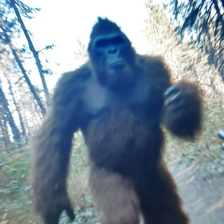 cover art for 4 TRUE CREEPY NEW HOUSE HORROR STORIES