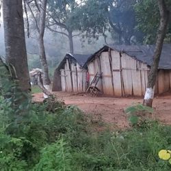 cover art for Guarani Tupa'o: Los Sermones Y Eventos De Una Iglesia Guarani-Hablante en Paraguay