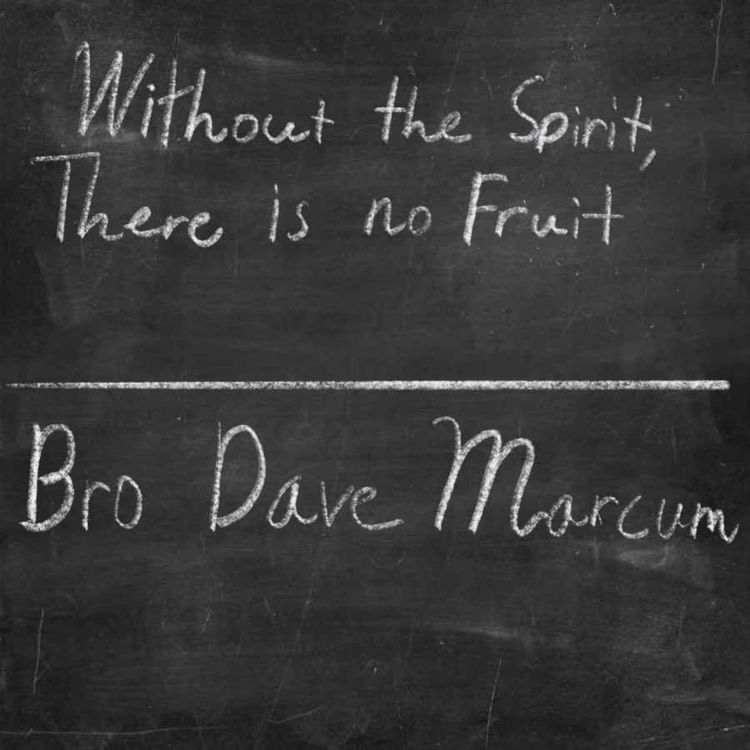cover art for "Without the Spirit There is No Fruit" -Bro Dave Marcum