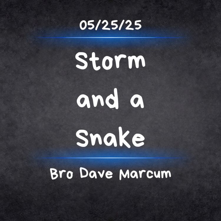 cover art for "Storm and a Snake" - Bro Dave Marcum
