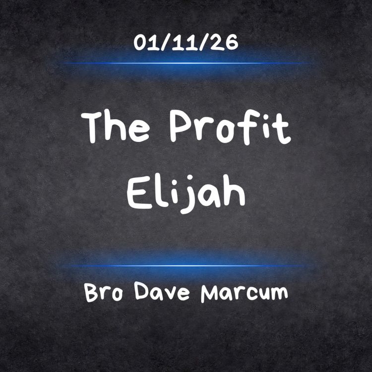 cover art for The Profit Elijah