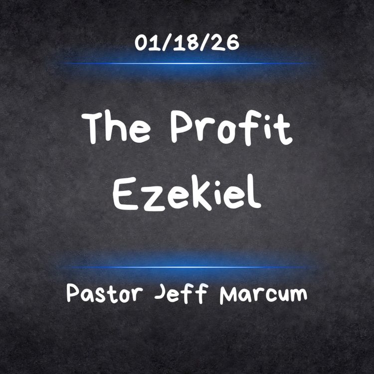 cover art for The Profit Ezekiel