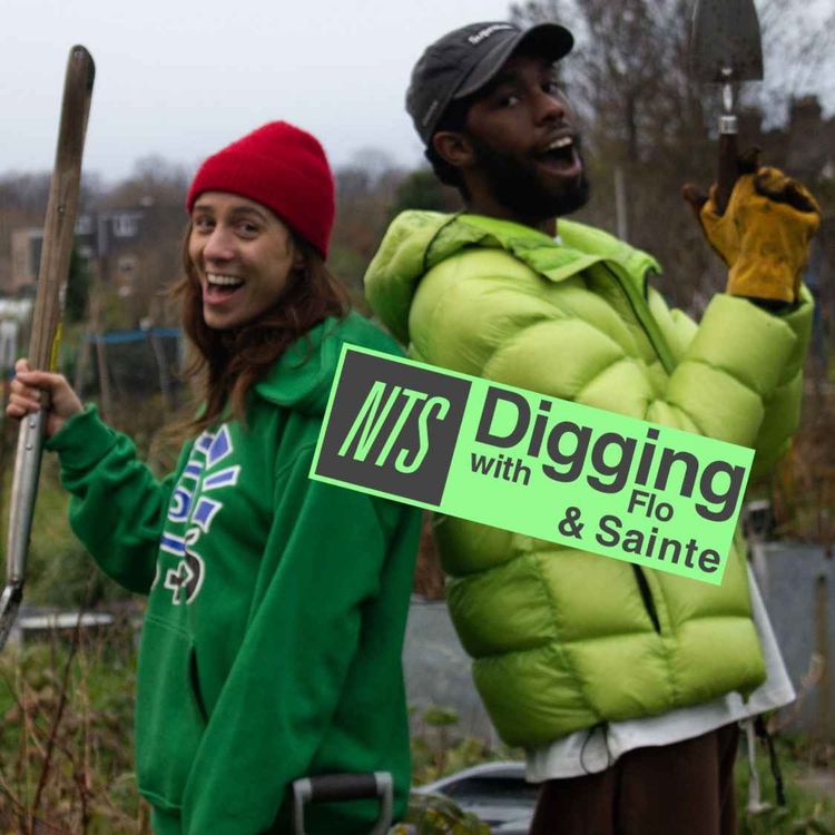 cover art for Sainté