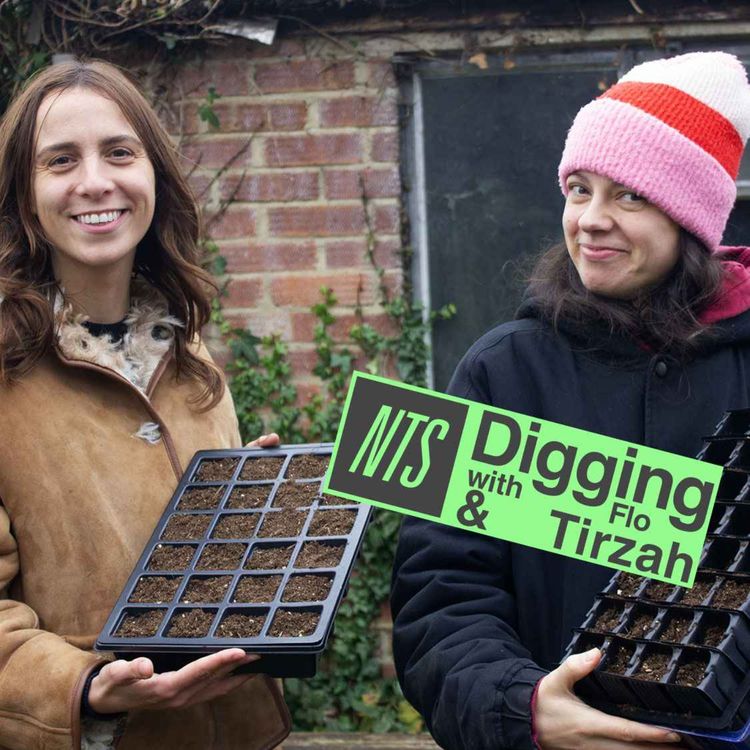 cover art for Tirzah