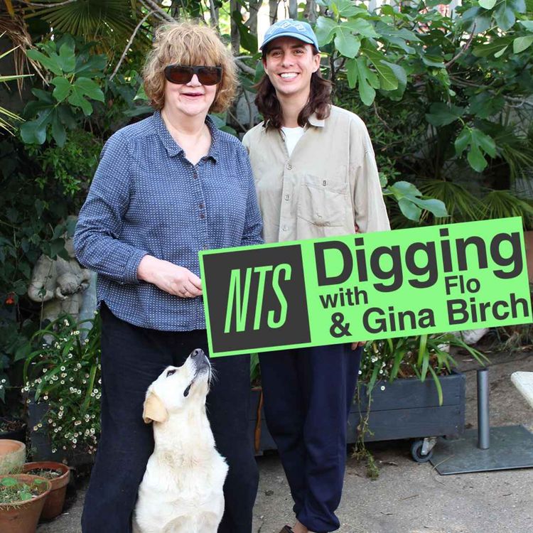 cover art for Gina Birch