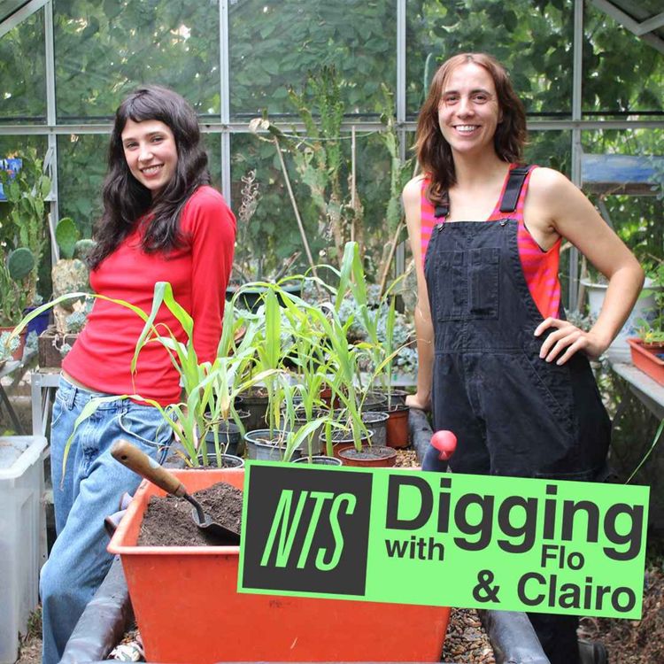 cover art for Clairo